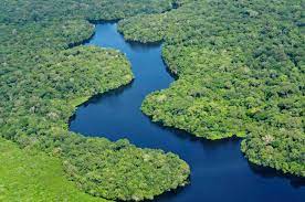 Amazonia, Brasil