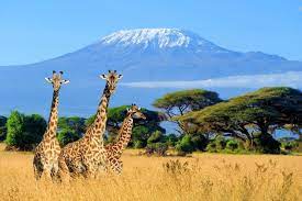 Parque Nacional Maasai Mara, Kenia